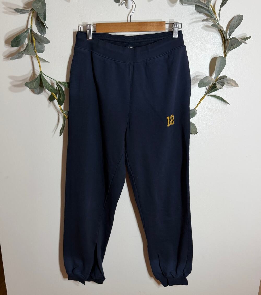 Anine Bing Tyler Jogger
